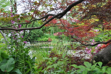 Pond In Trees