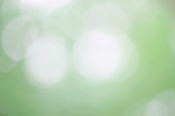 Obraz premium Bokeh green nature, Subtle background in abstract style for graphic design