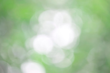 Obraz premium Bokeh green nature, Subtle background in abstract style for graphic design