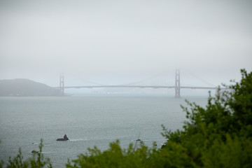 golden gate bridge