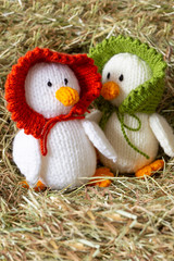 Obraz premium Knitted duck toy with bonnet on head. With a meadow hay straw grass background