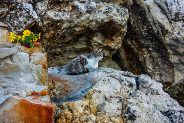 190410 Айя-Напа и Каво Греко Кипр Αγία Νάπα Ayia Napa and Cavo Greco Κάβο Γκρέκο Capo Greco Cyprus