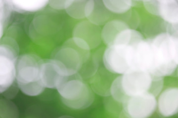 Fototapeta premium Bokeh green nature, Subtle background in abstract style for graphic design