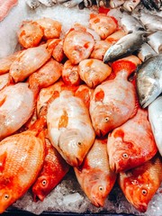 Fish on ice