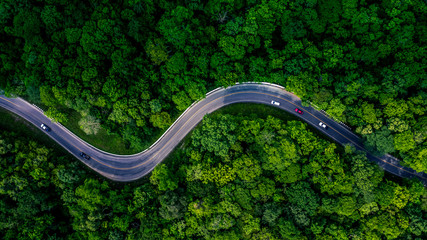 Forest Road view from above, Aerial view asphalt road in tropical tree forest with a road going through with car, Adventure in Asia background concept. - obrazy, fototapety, plakaty