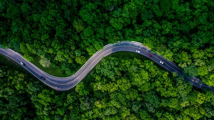 Foto op Canvas Forest Road weergave van bovenaf, luchtfoto asfaltweg in tropisch boombos met een weg die doorgaat met auto, avontuur in Azië achtergrond concept. © Kalyakan