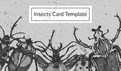 Insect Card Template with hand drawn beetles