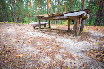 Table and bench in camp of pine logs for rest in forest.
