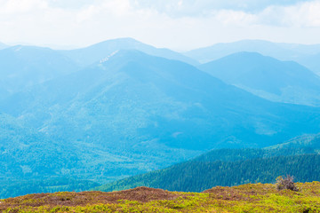 Fototapeta premium mountain hills beautiful mountain landscape