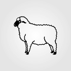 Sheep, Lamb icon isolated on white background. Vector illustration