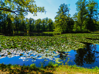 Pond in the Český Krumlov Castle