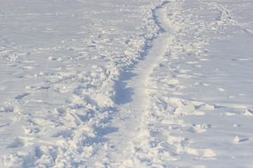 The path on the tundra in the snow