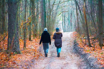 Obraz premium Two girls walk along a path in a park in the forest in autumn in warm clothes.