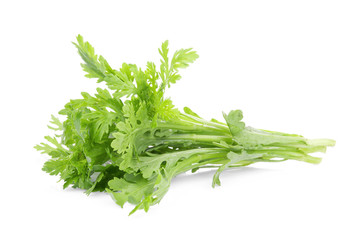 garland chrysanthemum vegetable isolated on white bakcground