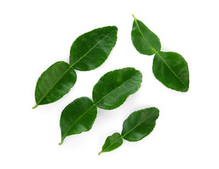 Fototapeta na wymiar bergamot leaf isolated on white background, top view, flat lay