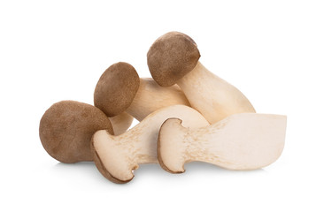 king oyster mushroom isolated on white background