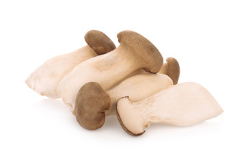 Fototapeta premium king oyster mushroom isolated on white background