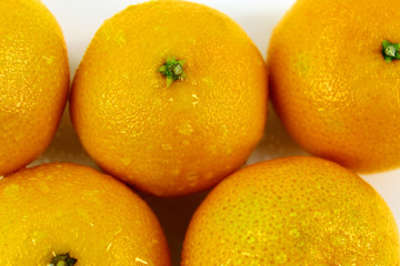 Tangerines with water drops, top view