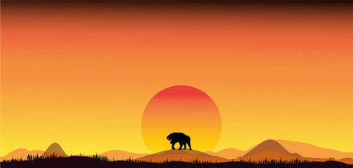 Fototapeta na wymiar Amazing Panorama silhouette tree in africa with sunset.Dark tree on open field dramatic sunrise.Safari theme.Giraffes , Lion , Rhino