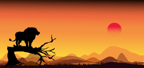 Amazing Panorama silhouette tree in africa with sunset.Dark tree on open field dramatic sunrise.Safari theme.Giraffes , Lion , Rhino