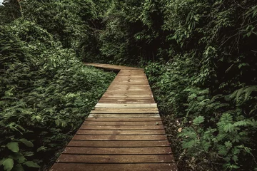 Keuken foto achterwand Bosweg wooden path in the forest