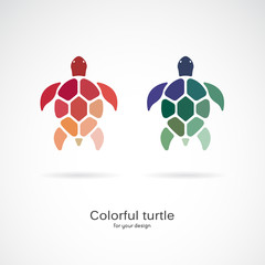Vector of two colorful turtles on white background. Wild Animals. Underwater animal. Turtle icon or logo. Easy editable layered vector illustration.