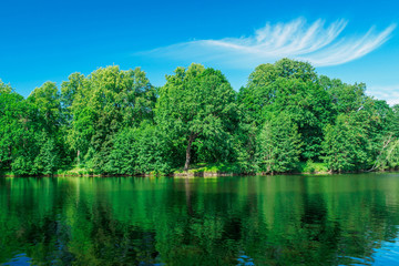 Fototapeta premium COVER VIEW WITH GREEN POND TREES IN THE PARK AND CLEAR SKY WITH ONE CLOUD