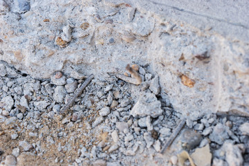 Metal wire rod for reinforcement of concrete or cement