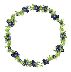 Wreath frame with black forest northern berries of the crowberry, painted in watercolor. Ideal for wedding invitations, cards, logos