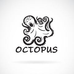 Vector of freehand octopus painting on white background. Sea animal. Easy editable layered vector illustration.