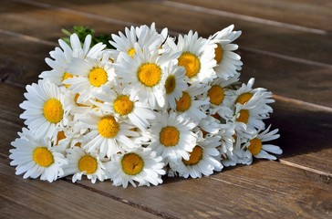 Bouquet of daisies on a wooden background close-up