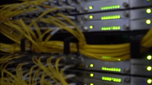 Blurred Network cable connecting on network core switch. Close up. Blink Led.
