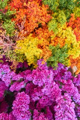colorful floral composition for decoration