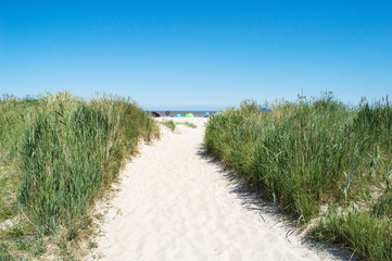 In den D&uuml;nen von Schillig