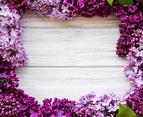 Lilac spring flower border