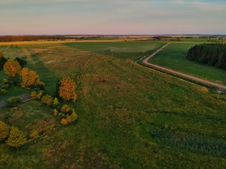 Naklejka premium rural landscape with yellow field and blue sky