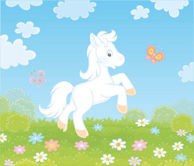 Little white pony dancing with funny butterflies among colorful flowers on green grass of a meadow on a sunny summer day, vector illustration in a cartoon style