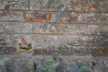 vintage bricks wall
