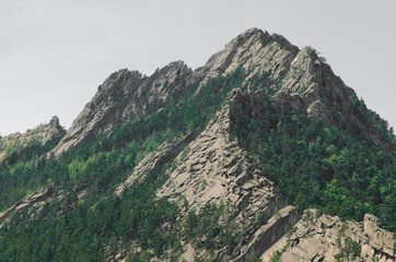 Rocky fantastic beautiful mountain peak with pine forest at the foot