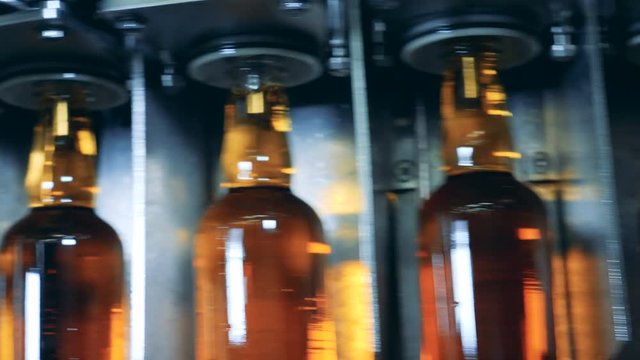Filled bottles going on a line. Whiskey and brandy distillery