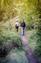 A hiker with backpack is walking in the forest on a sunny day. A two travelers is exploring new landscapes on the weekend