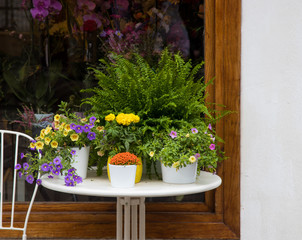 Fototapeta na wymiar table with plants and flowers, florist