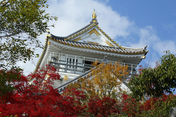 紅葉と岐阜城　岐阜城の紅葉風景　紅葉風景