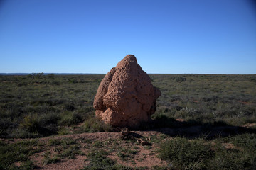 ein Termitenhügel mitten im Nirgendwo in Australien