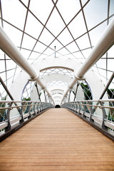 Fototapeta premium The high bridge in Seoul.