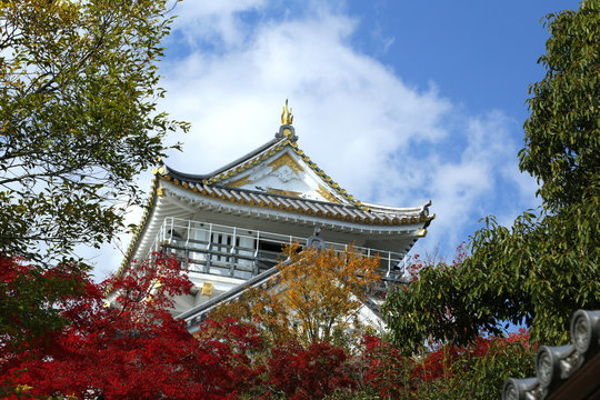 Best 金華山城 Images Stock Photos Vectors Adobe Stock