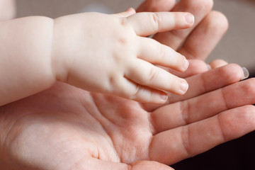 Close up father or mother hands holding newborn baby. Happy family concept.