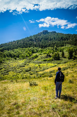 Tourist traveler with a backpack looks at a mountain with a pine forest clouds landscape hiking