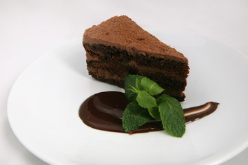 a piece of chocolate cake. with chocolate sauce and mint leaf. on a white plate