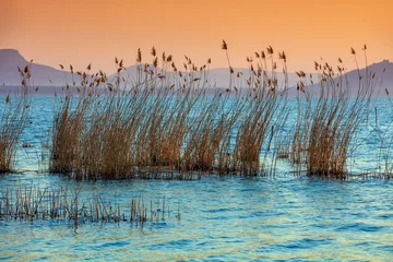 Keuken foto achterwand Lavendel The shore of Lake Balaton on the Tihany peninsula. Hungary, Europe